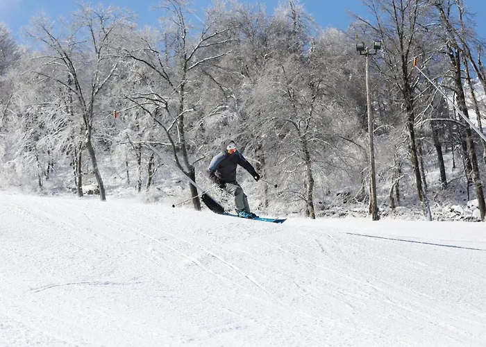Seven Springs Stonegate 2 Bedroom Standard Condo, Ski-In Out, Sleeps 8! Condo